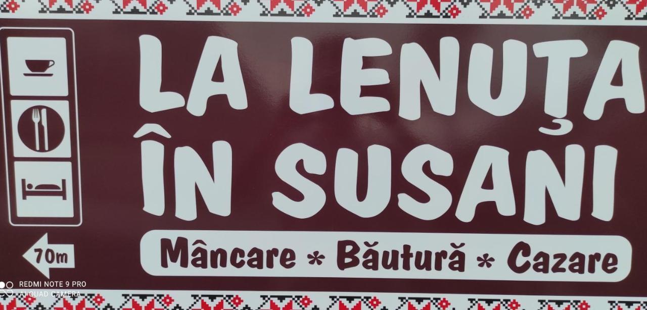 La Lenuta In Susani Breb Εξωτερικό φωτογραφία