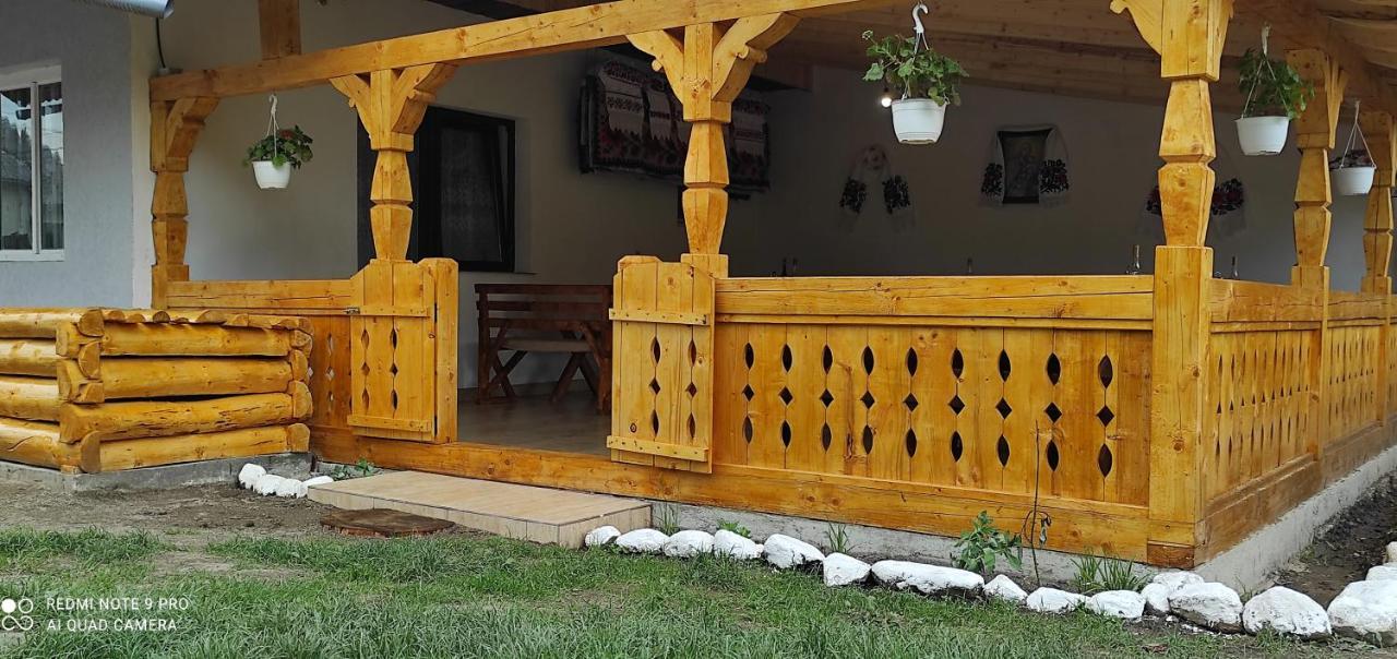 La Lenuta In Susani Breb Εξωτερικό φωτογραφία